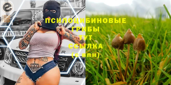 твердый Белоозёрский