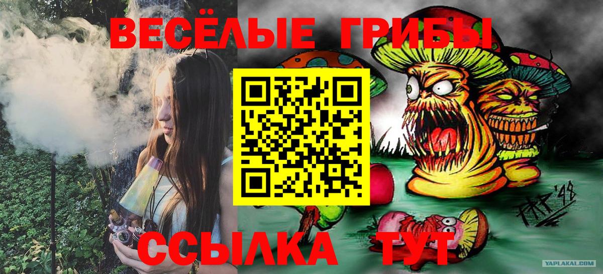 хочу   Советская Гавань  Псилоцибиновые грибы Psilocybe 