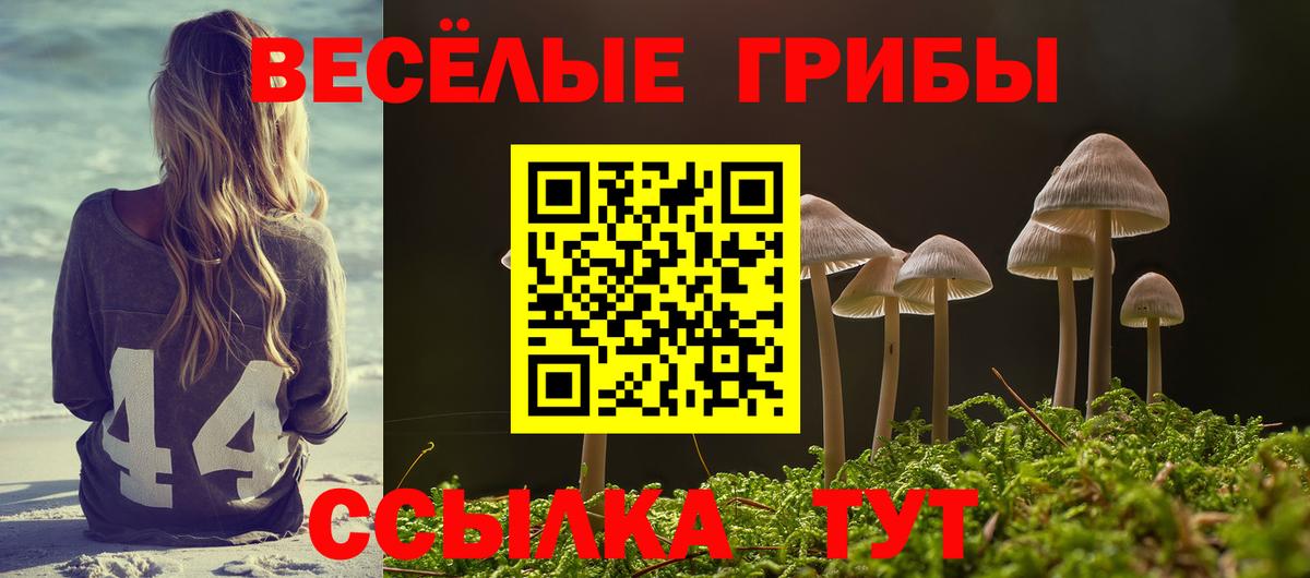 Галлюциногенные грибы GOLDEN TEACHER  Вход с VPN  Советская Гавань 