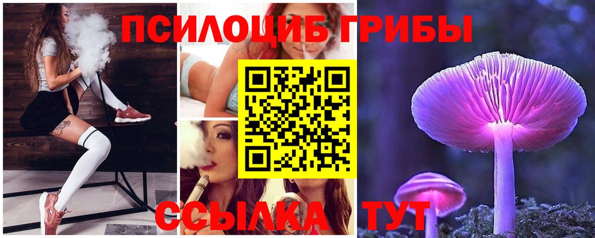 Советская Гавань  что такое наркотик  Вход с VPN  Псилоцибиновые грибы ЛСД 