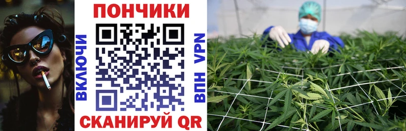 Купить закладки  Советская Гавань  Конопля Bruce Banner 